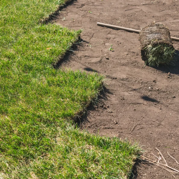 Grass Installation