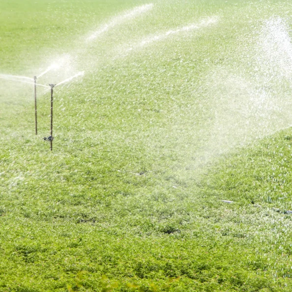 Irrigation Services