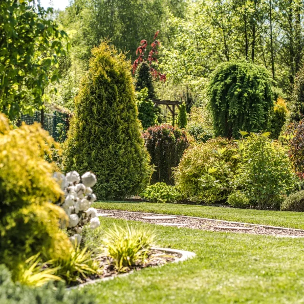Landscaping